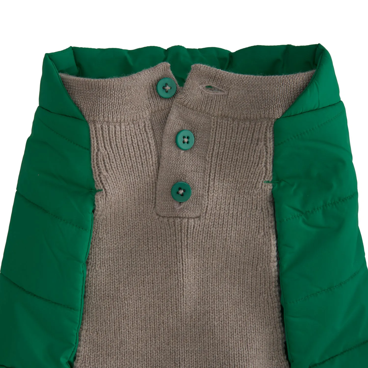 Beetle Dog Coat