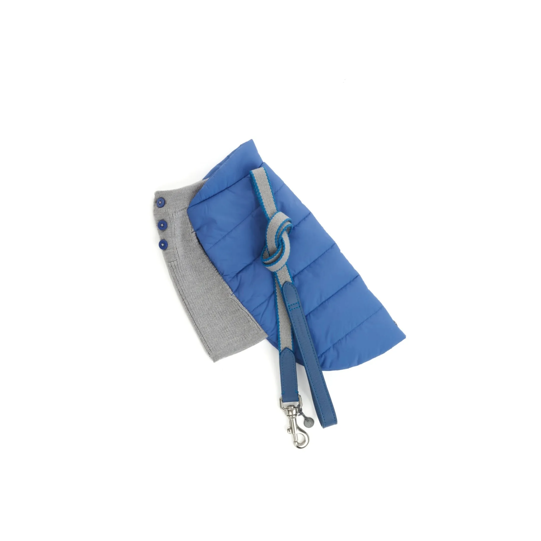 Beetle Dog Coat