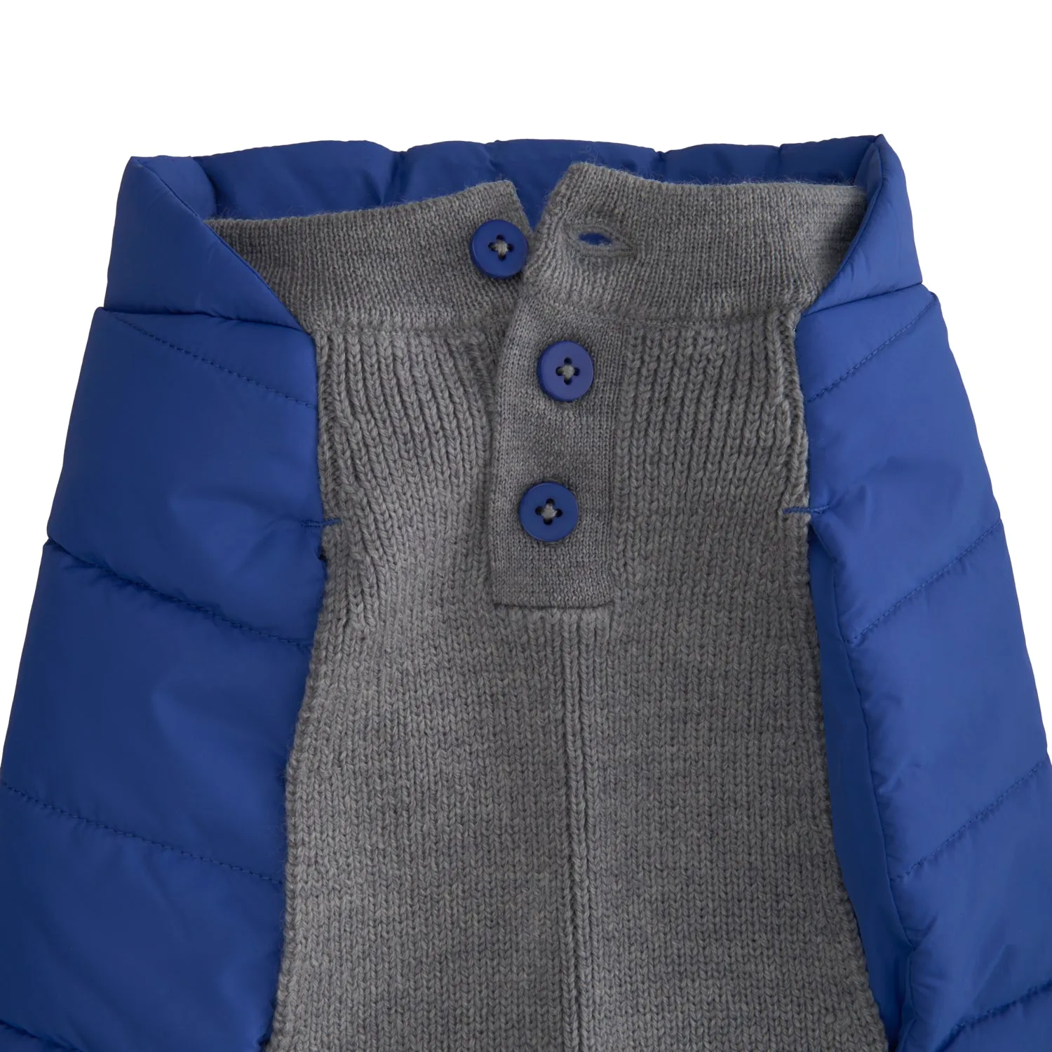 Beetle Dog Coat