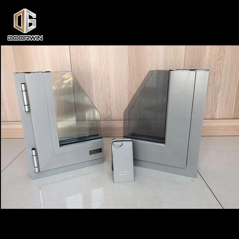DOORWIN 2021Toronto inexpensive quality double glass thermal insulated aluminum window NAMI